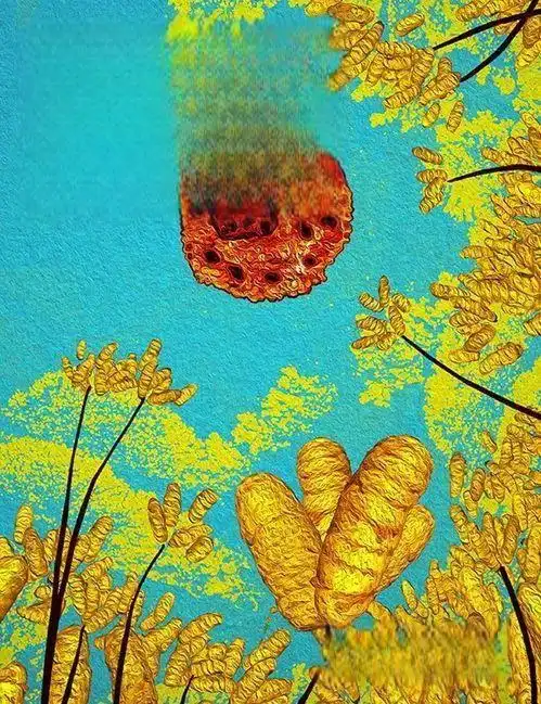 U.S.News排名下中国高校短板:综合强但学术声誉落后