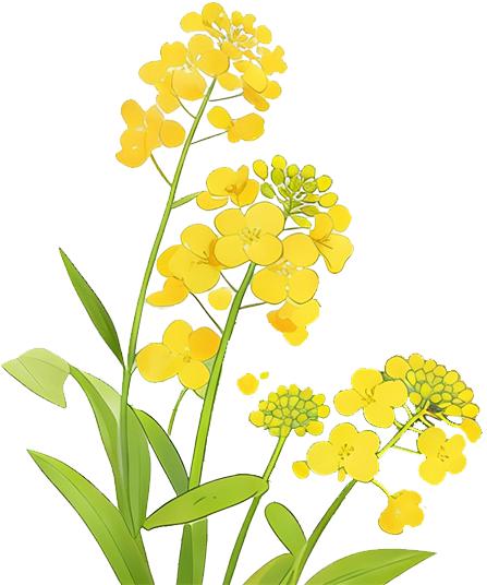 清明高速免费3天,7座及以下小车全免