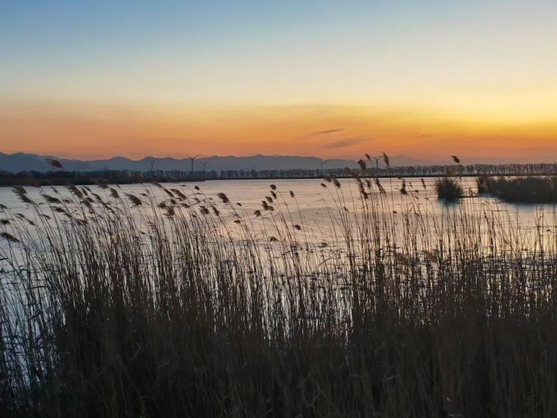 疫情防控策略转变后,这些代价你知道吗?最新消息来了