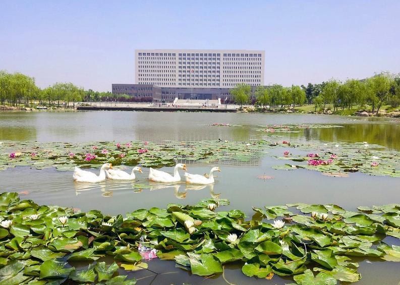 天津虚假大学坑骗考生,毕业证名存实亡,报考需警惕