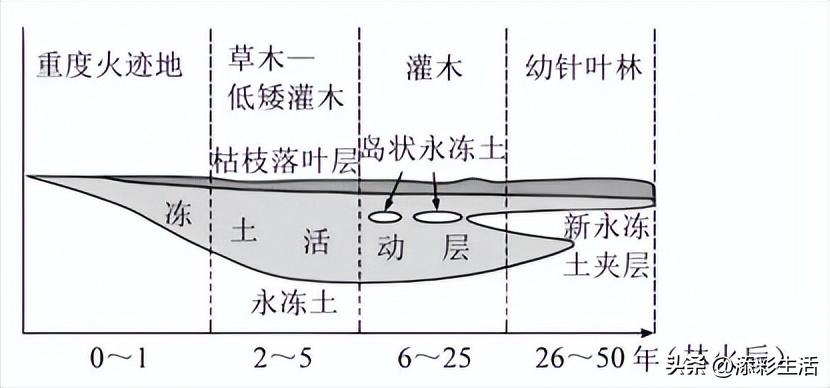 高考地理专项练习:冻害等知识点及相关例题解析