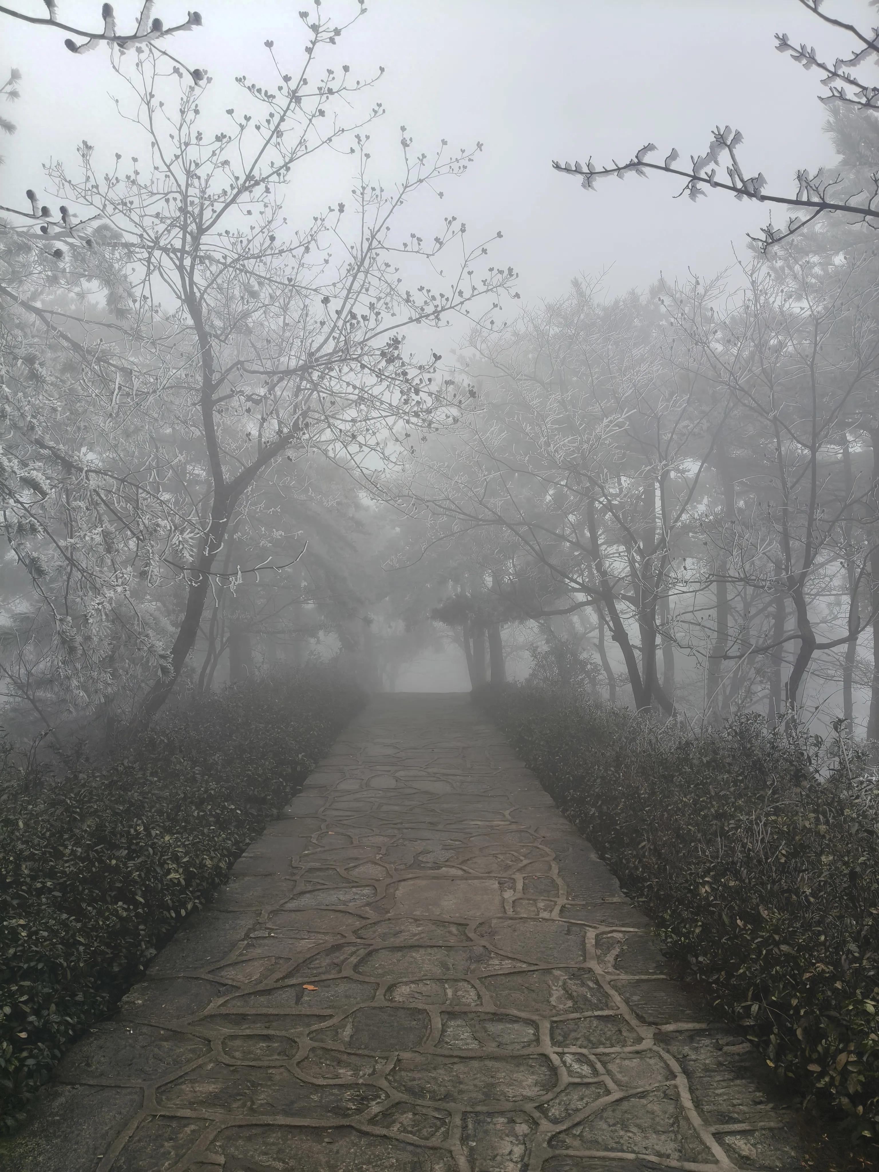 2026高考作文:从诗词史书古典智慧中汲取青春力量