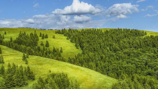 高考地理：植被特征考点全解析，气候地形等要素综合分析